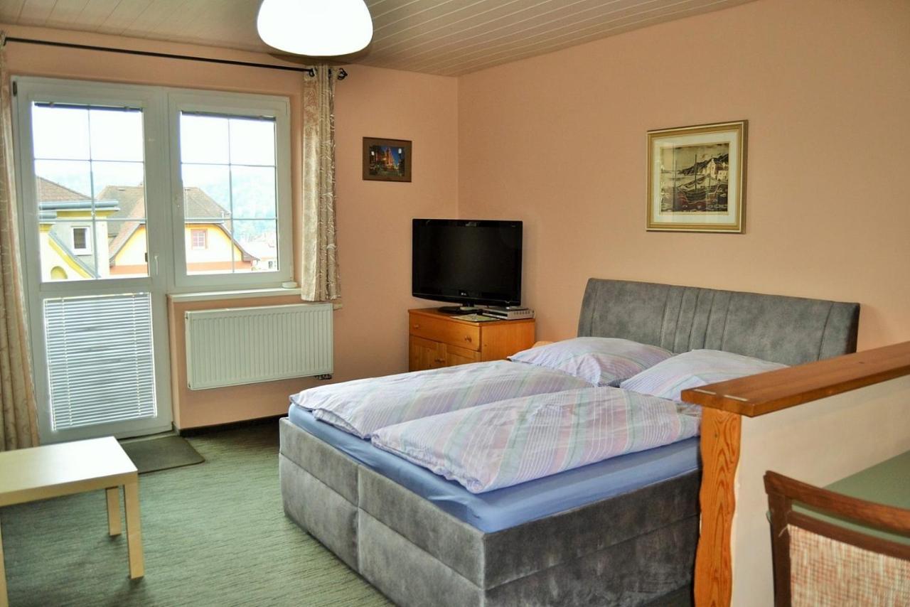 Apartments Nicol Карлові Вари Екстер'єр фото
